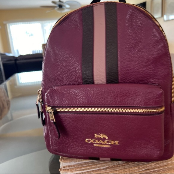 Coach Jed Pebbled leather backpack varsity stripe F89167 Gold/Berry Multi - Picture 2 of 8